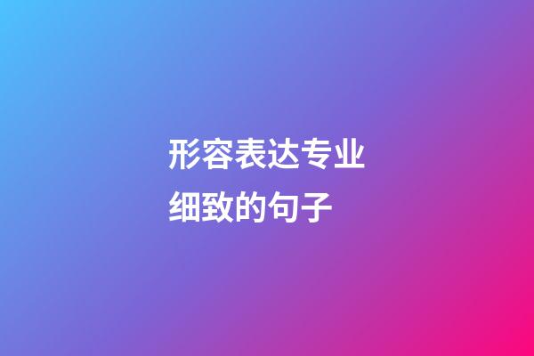 形容表达专业细致的句子
