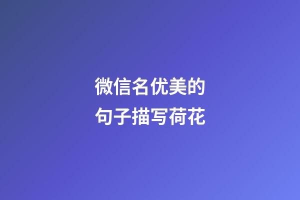 微信名优美的句子描写荷花