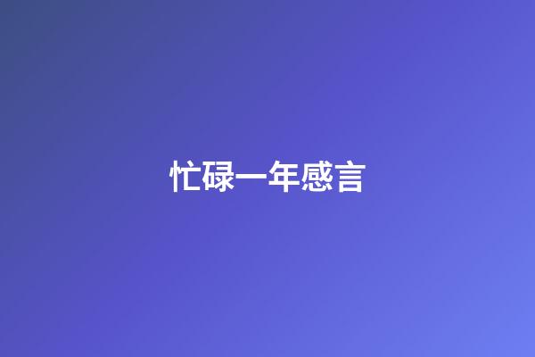 忙碌一年感言