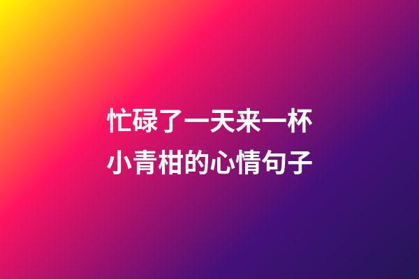 忙碌了一天来一杯小青柑的心情句子