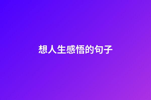 想人生感悟的句子