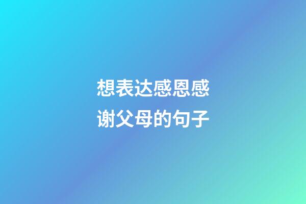 想表达感恩感谢父母的句子