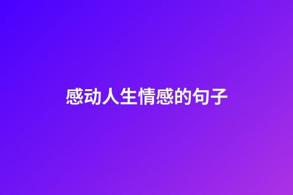 感动人生情感的句子