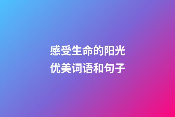 感受生命的阳光优美词语和句子