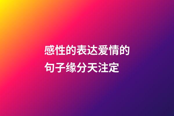 感性的表达爱情的句子缘分天注定