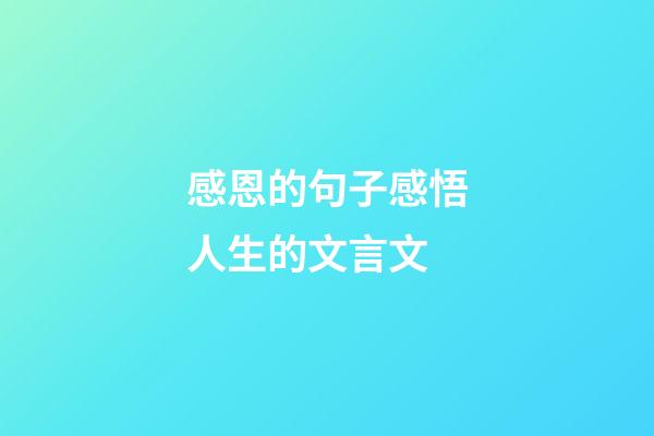 感恩的句子感悟人生的文言文