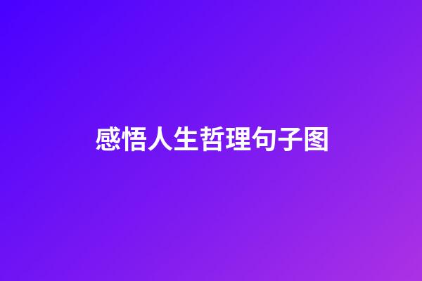 感悟人生哲理句子图