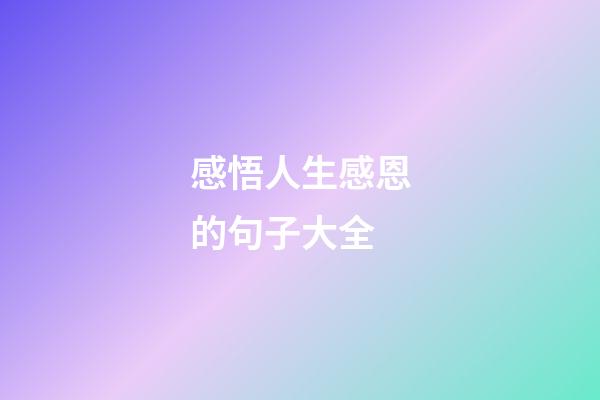 感悟人生感恩的句子大全