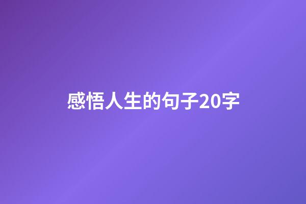 感悟人生的句子20字