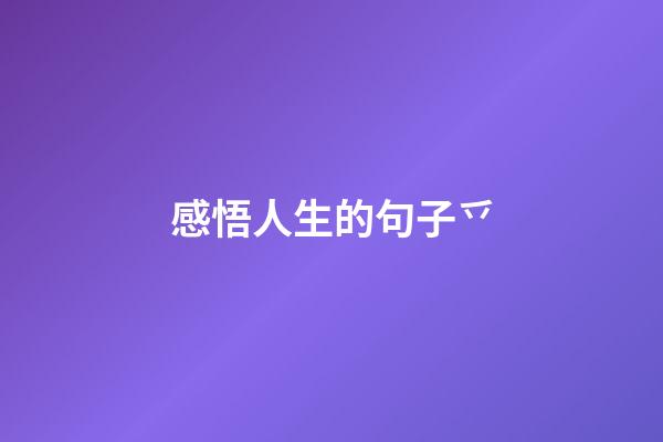 感悟人生的句子乊