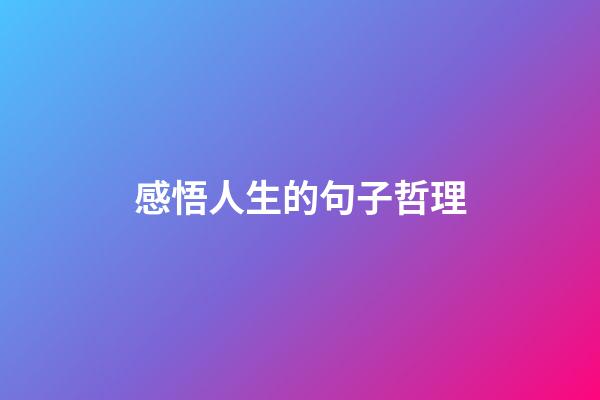 感悟人生的句子哲理