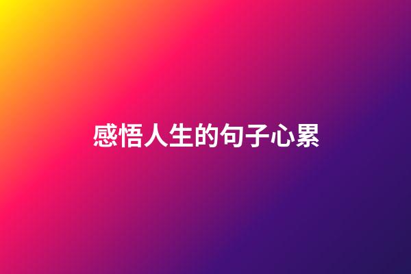 感悟人生的句子心累