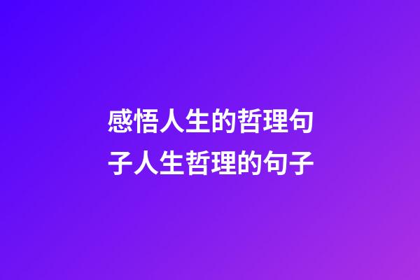 感悟人生的哲理句子人生哲理的句子