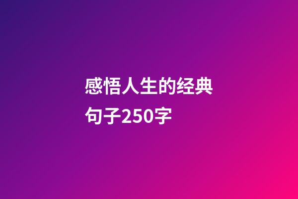 感悟人生的经典句子250字