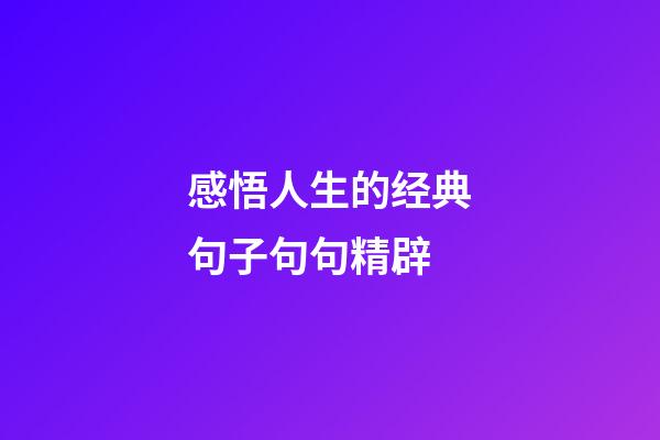 感悟人生的经典句子句句精辟