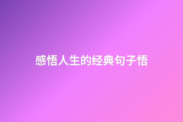 感悟人生的经典句子悟