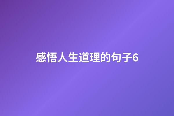 感悟人生道理的句子6