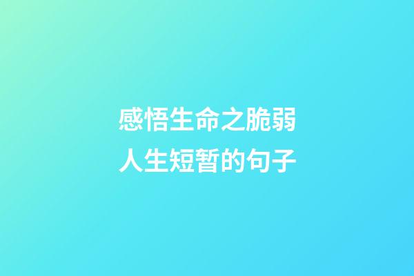 感悟生命之脆弱人生短暂的句子