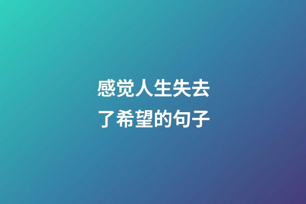 感觉人生失去了希望的句子