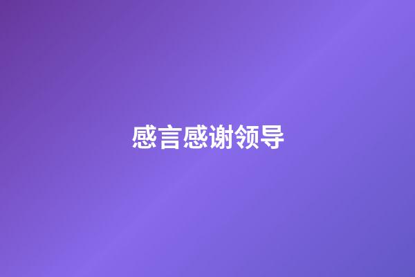 感言感谢领导