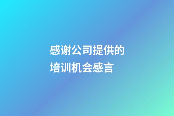 感谢公司提供的培训机会感言