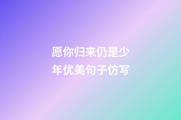 愿你归来仍是少年优美句子仿写