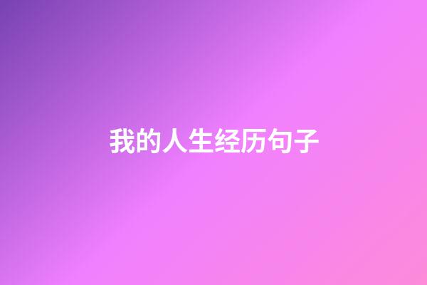 我的人生经历句子