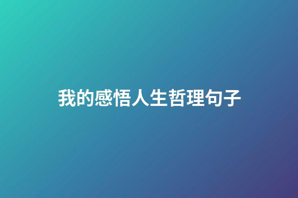 我的感悟人生哲理句子