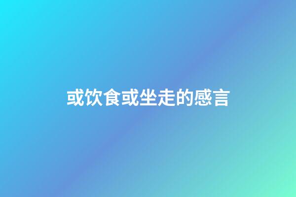 或饮食或坐走的感言