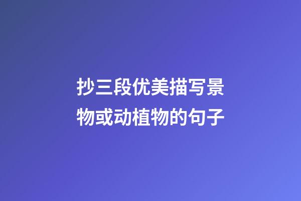 抄三段优美描写景物或动植物的句子