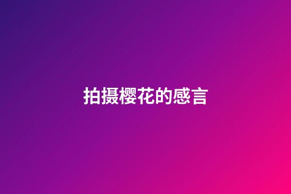拍摄樱花的感言