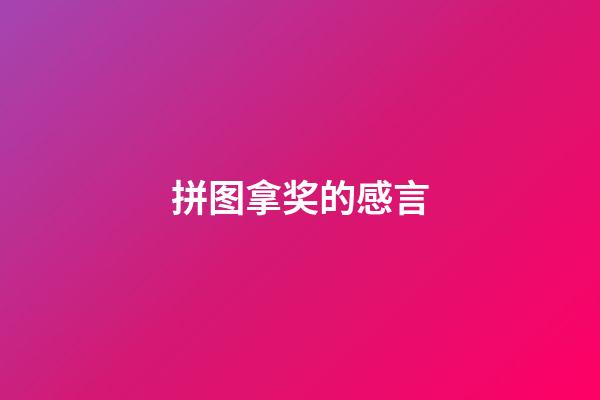 拼图拿奖的感言