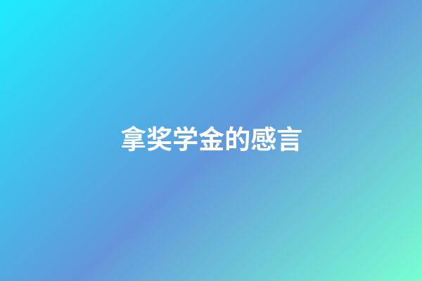 拿奖学金的感言