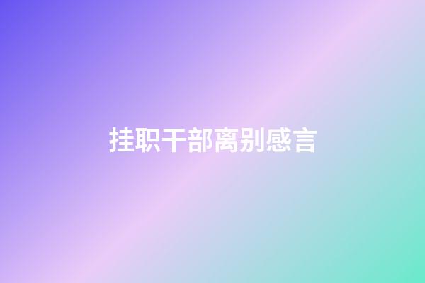挂职干部离别感言