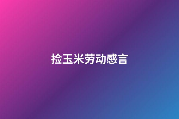 捡玉米劳动感言