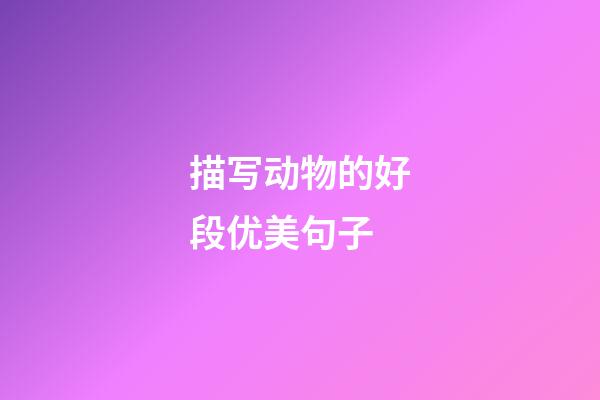 描写动物的好段优美句子