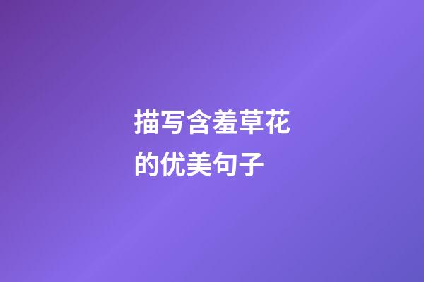 描写含羞草花的优美句子