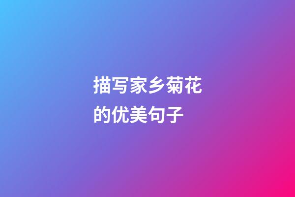 描写家乡菊花的优美句子