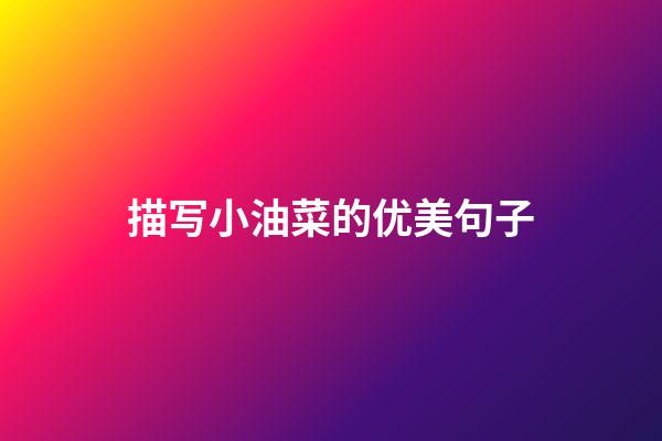 描写小油菜的优美句子
