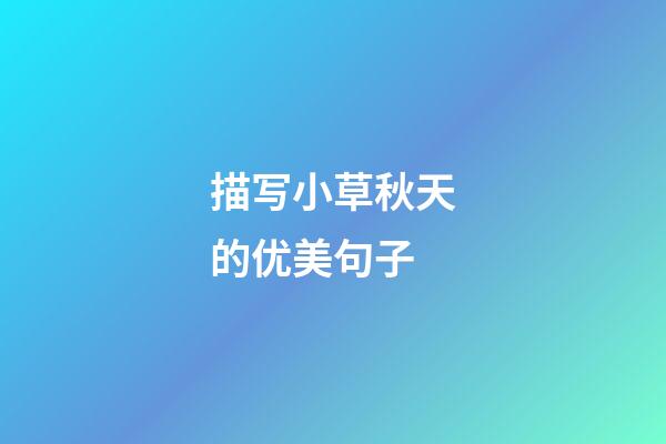 描写小草秋天的优美句子