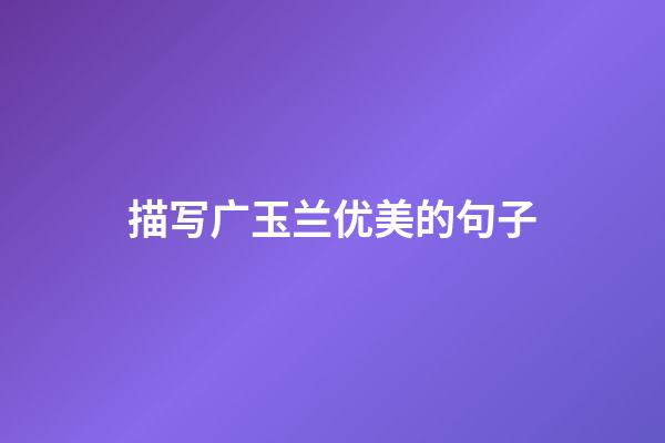 描写广玉兰优美的句子