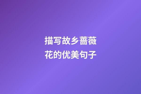 描写故乡蔷薇花的优美句子