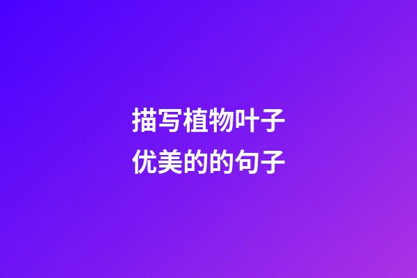 描写植物叶子优美的的句子