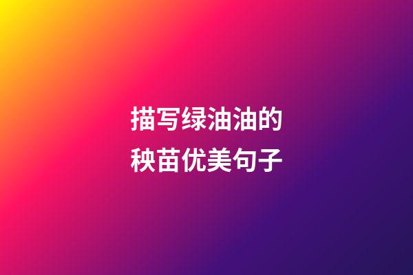 描写绿油油的秧苗优美句子