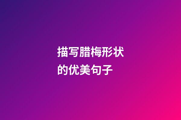 描写腊梅形状的优美句子