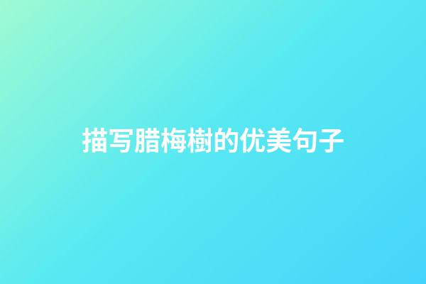 描写腊梅樹的优美句子