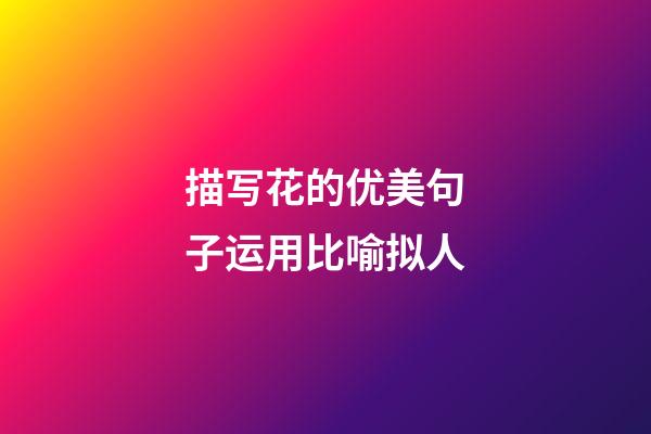 描写花的优美句子运用比喻拟人