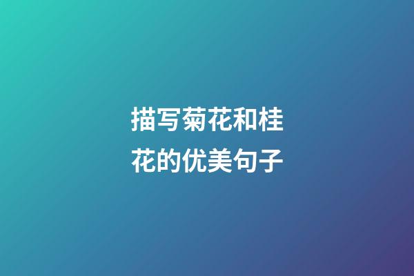 描写菊花和桂花的优美句子