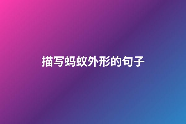 描写蚂蚁外形的句子