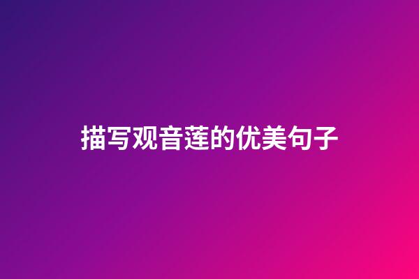 描写观音莲的优美句子